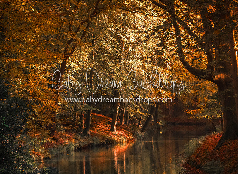 On the Autumn Pond (CC)