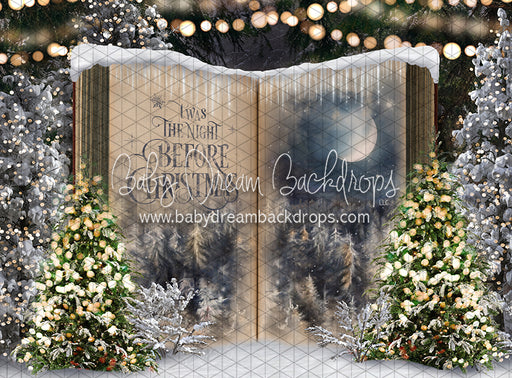 Once Upon a Christmas (JA)