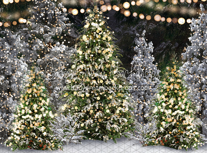 Once Upon a Christmas Forest (JA)