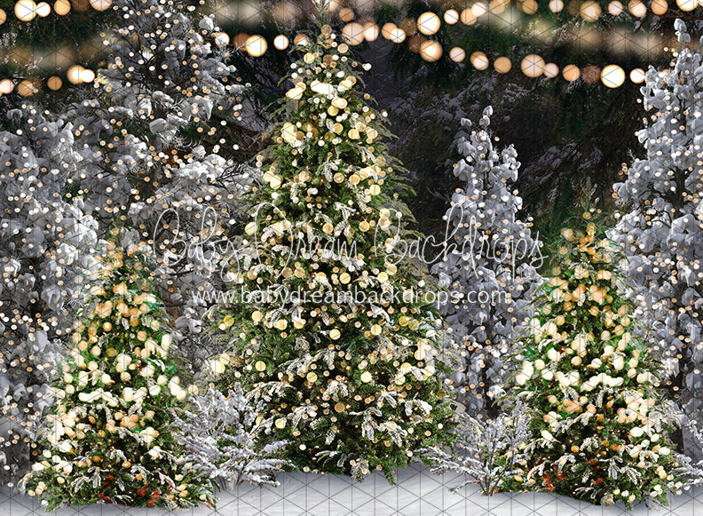 Once Upon a Christmas Forest (JA)