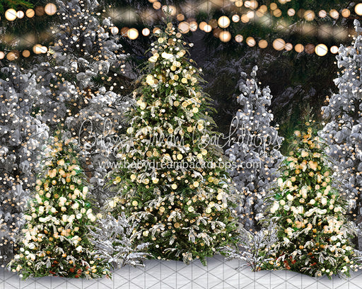 Once Upon a Christmas Forest (JA)