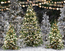 Once Upon a Christmas Forest (JA)
