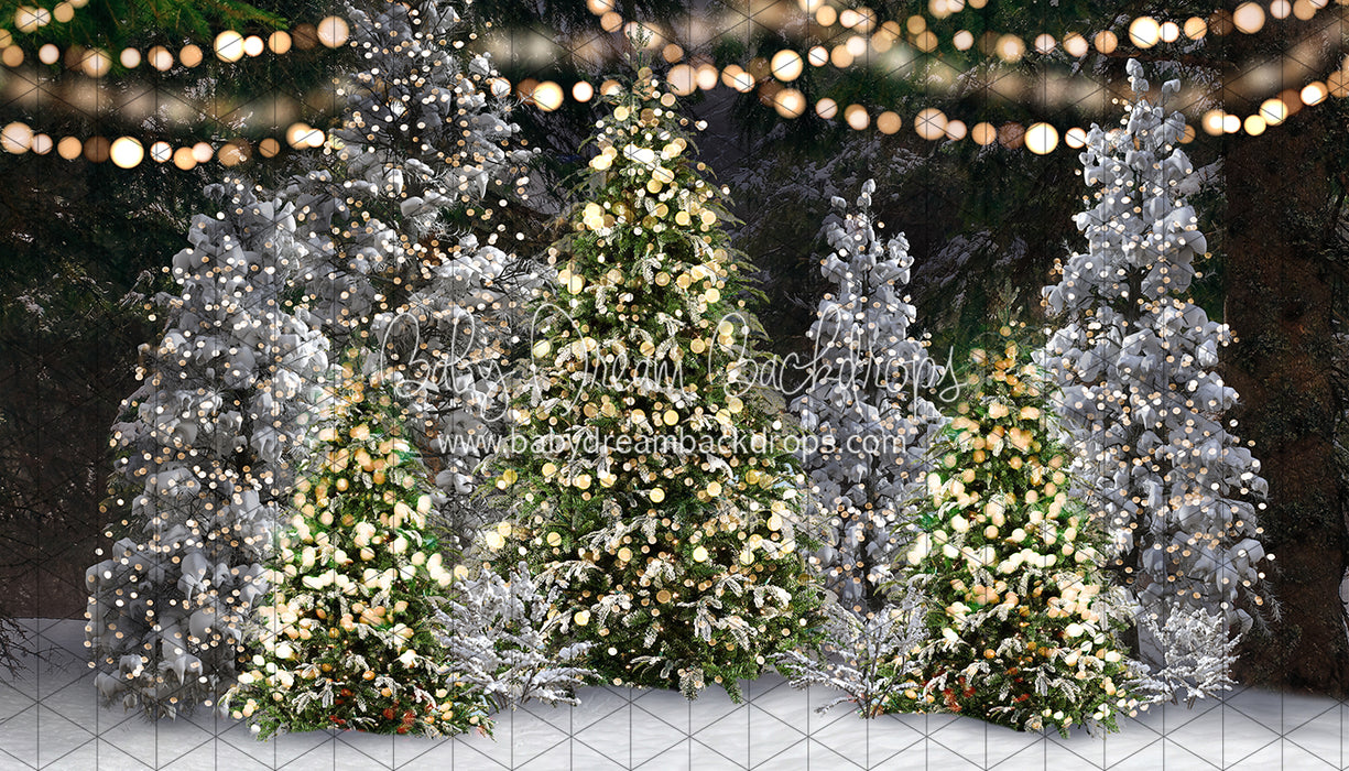 Once Upon a Christmas Forest (JA)