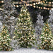 Once Upon a Christmas Forest (JA)
