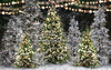 Once Upon a Christmas Forest (JA)