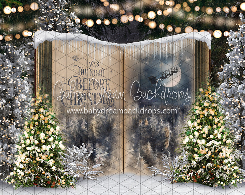 Once Upon a Christmas Santa (JA)