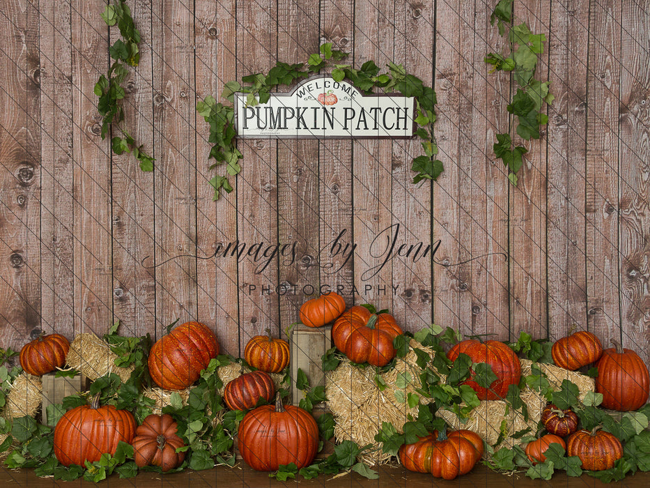 Orange Pumpkin Patch
