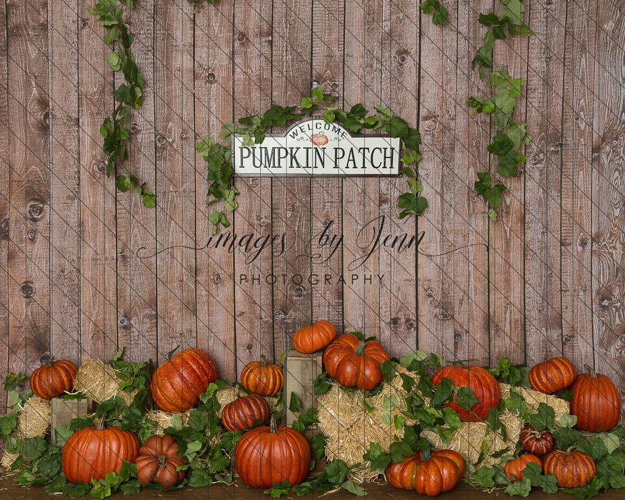 Orange Pumpkin Patch