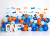Orange and Blue Nerdy Balloon Party ONE (BA)