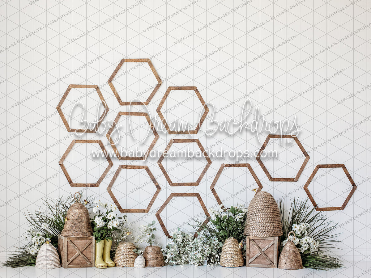 Organic Buzz — Baby Dream Backdrops