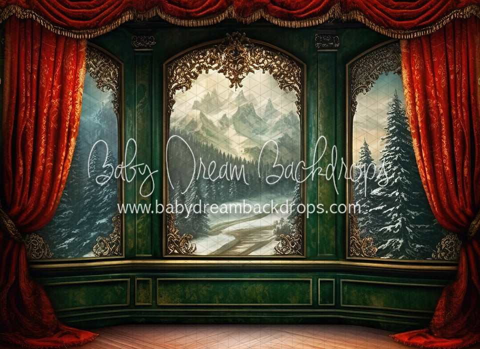 Painted Christmas Manor (BD)