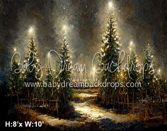 Painted Christmas Tree Field (SM) 