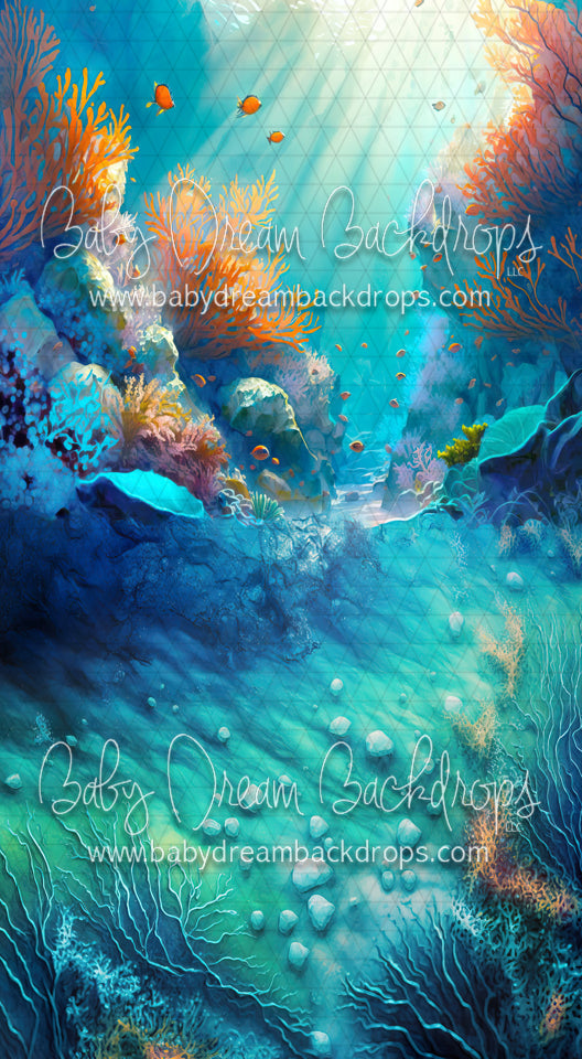Painted Coral Reef Sweep (MD)