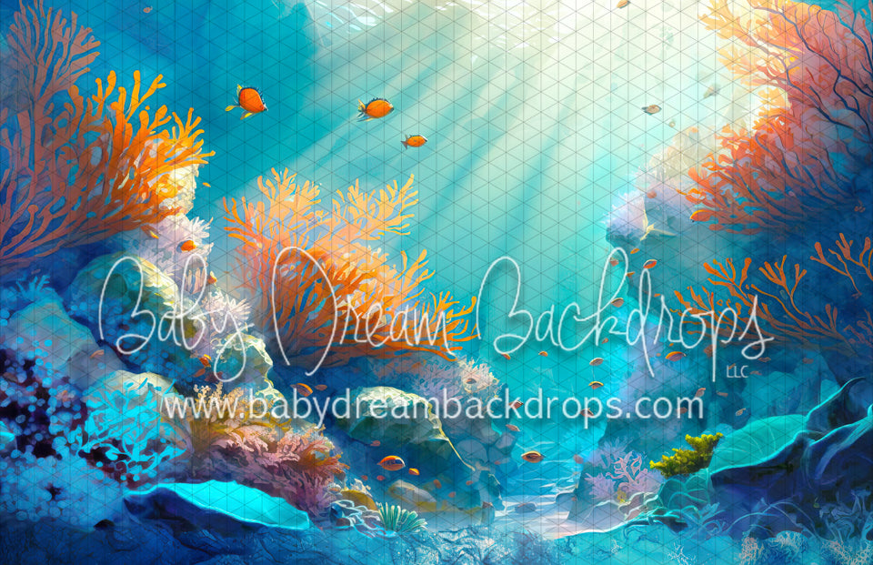 Painted Coral Reef (MD)