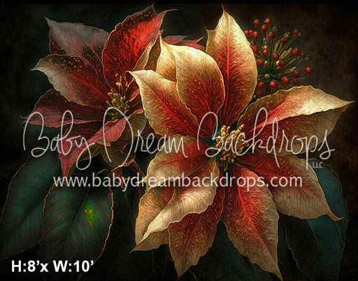 Painted Poinsettias (SM) 