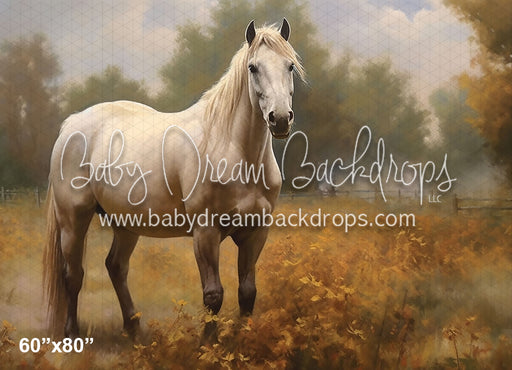 Painted White Horse Fall Pasture (AZ)