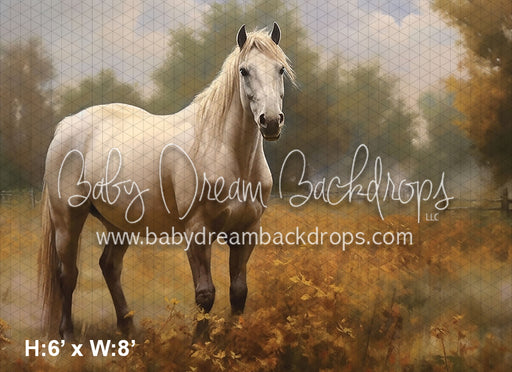 Painted White Horse Fall Pasture (AZ)