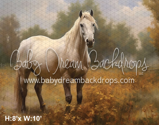 Painted White Horse Fall Pasture (AZ)