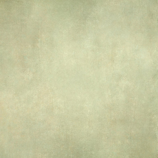 Painted Beauty 12 - 8x8 