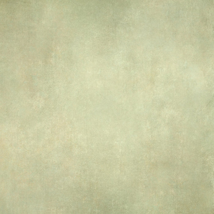 Painted Beauty 12 - 8x8 