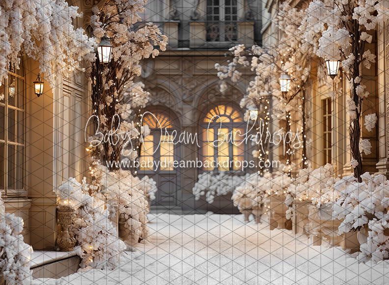 Paris for the Holidays Stroll (JA)