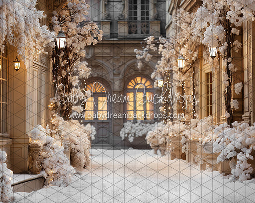 Paris for the Holidays Stroll (JA)