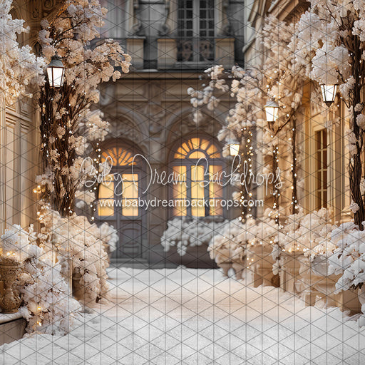 Paris for the Holidays Stroll (JA)