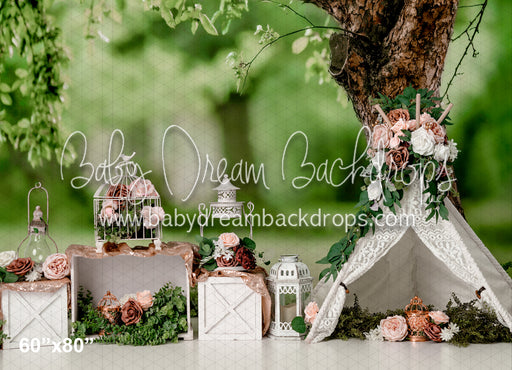 Party in the Park (RS)