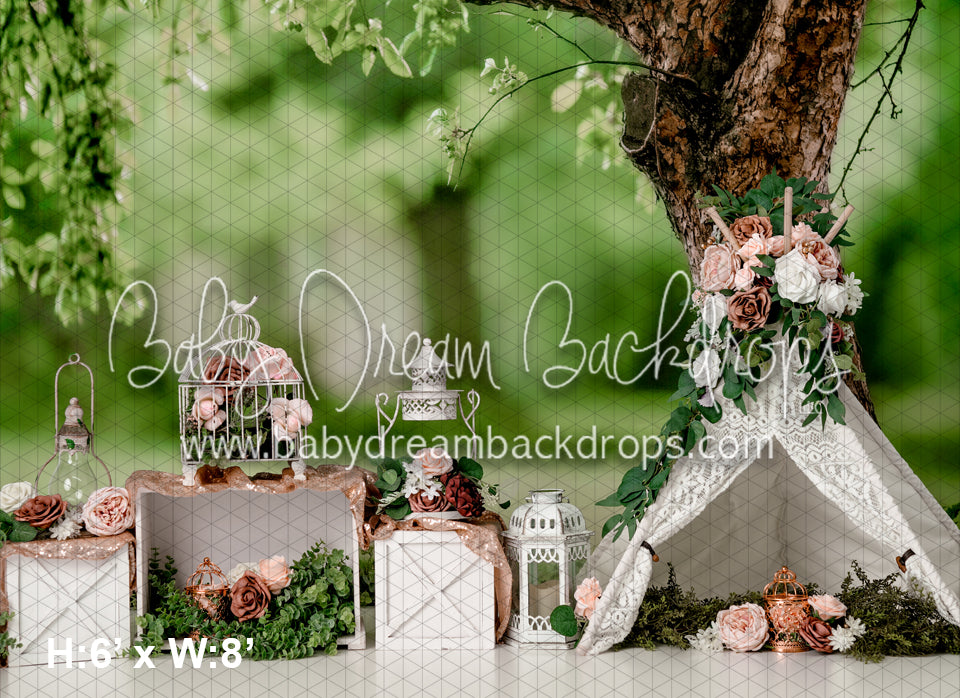 Party in the Park (RS)