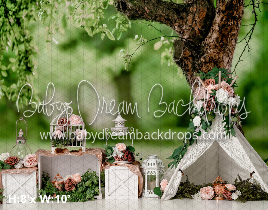 Party in the Park (RS)