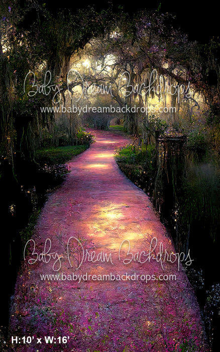 Sweeps Pathway to New Orleans  (BD)