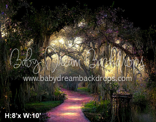 Pathway to New Orleans (BD)