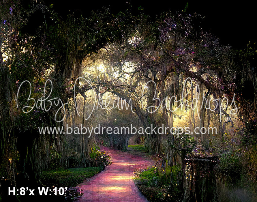 Pathway to New Orleans (BD)