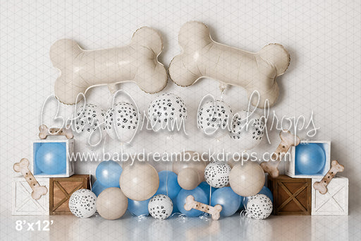 Pawprints and Bones Blue (AZ)