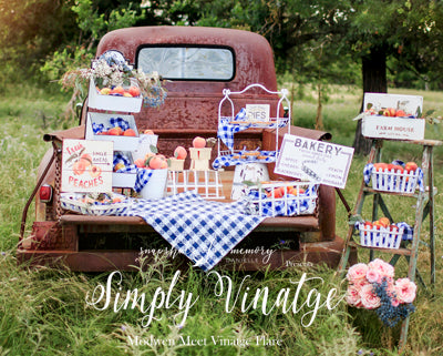 Peach Picnic 8x10 DJ (Fleece)