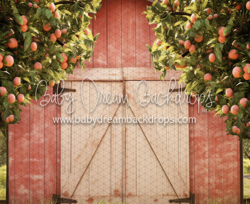 Peach Orchard Barn (JA)