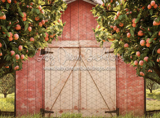 Peach Orchard Barn (JA)