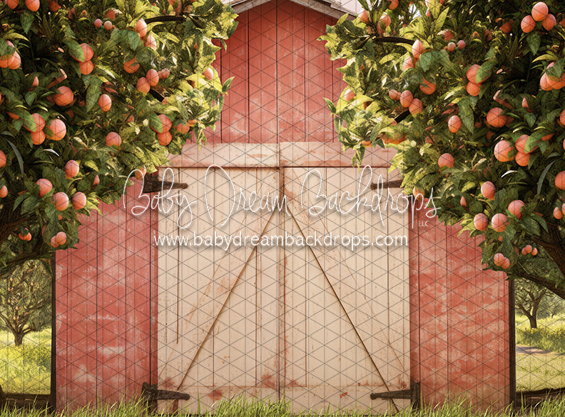 Peach Orchard Barn (JA)
