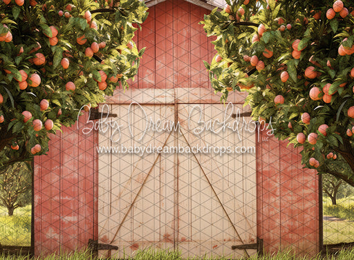 Peach Orchard Barn (JA)