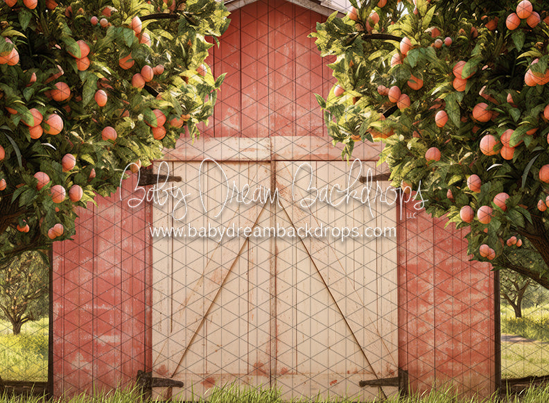 Peach Orchard Barn (JA)
