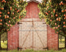 Peach Orchard Barn (JA)