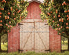 Peach Orchard Barn (JA)