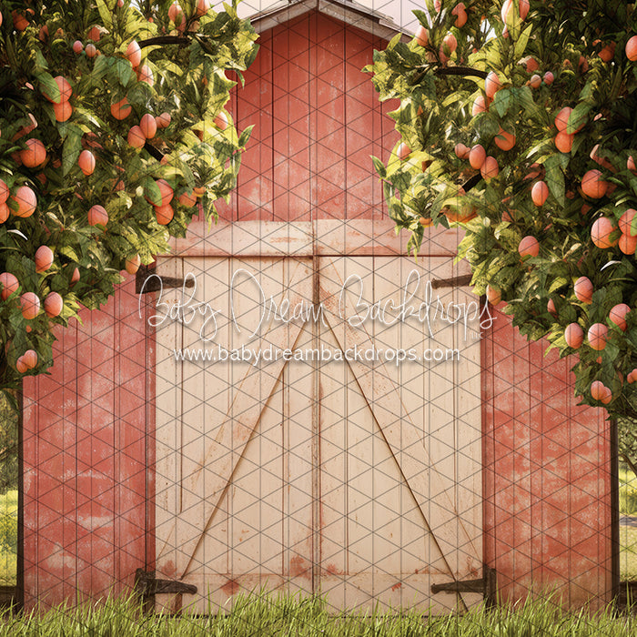 Peach Orchard Barn (JA)