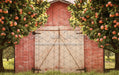 Peach Orchard Barn (JA)