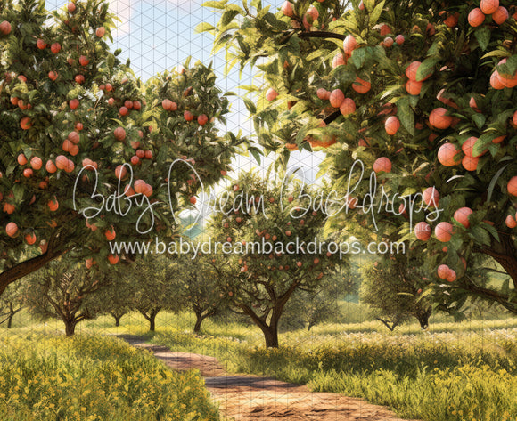 Peach Orchard Path (JA)