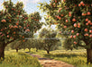 Peach Orchard Path (JA)