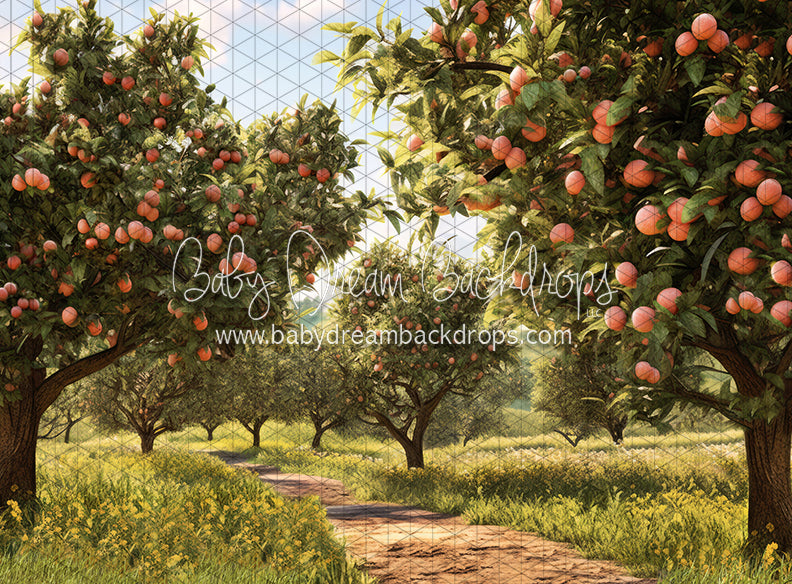 Peach Orchard Path (JA)