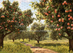 Peach Orchard Path (JA)