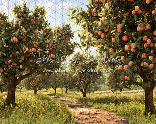 Peach Orchard Path (JA)