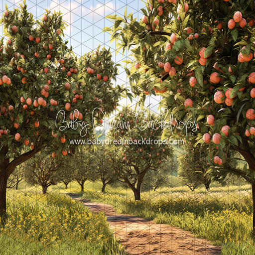 Peach Orchard Path (JA)